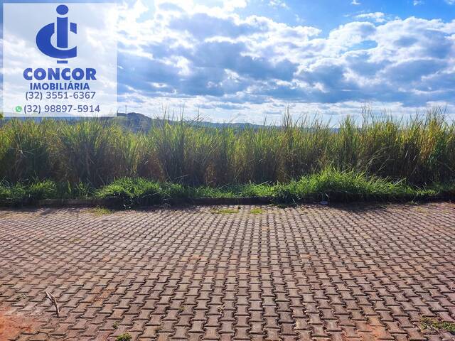 #315 - Área para Venda em Visconde do Rio Branco - MG - 1