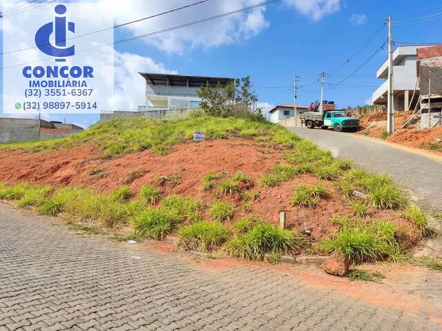 #334 - Área para Venda em Visconde do Rio Branco - MG - 2