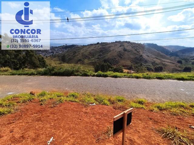 #334 - Área para Venda em Visconde do Rio Branco - MG - 3