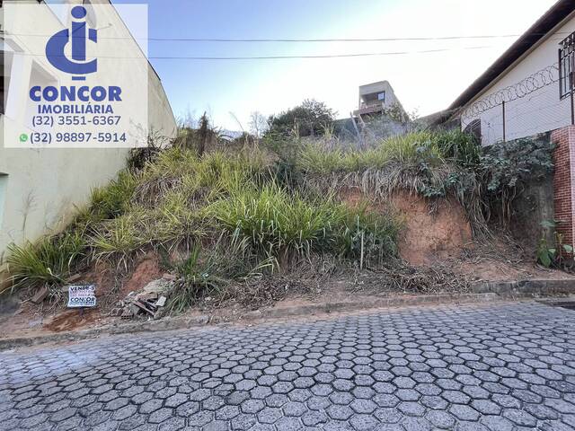 #556 - Área para Venda em Visconde do Rio Branco - MG