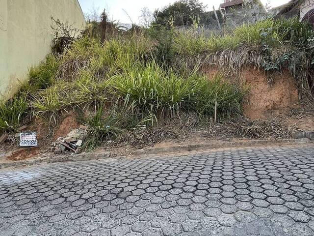 #556 - Área para Venda em Visconde do Rio Branco - MG