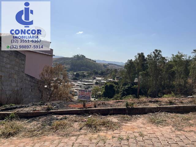 #557 - Área para Venda em Visconde do Rio Branco - MG