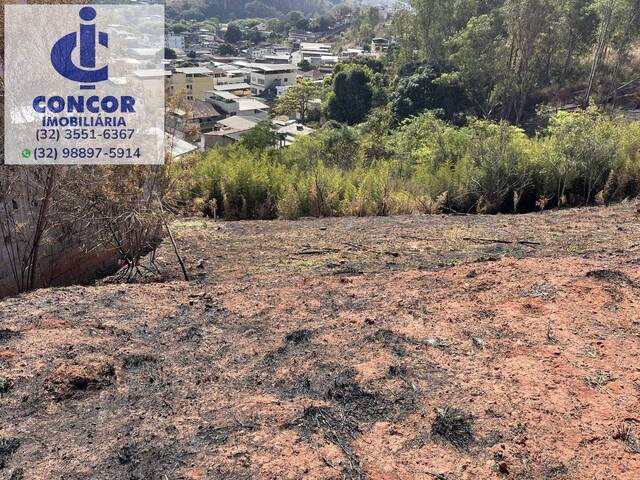#557 - Área para Venda em Visconde do Rio Branco - MG