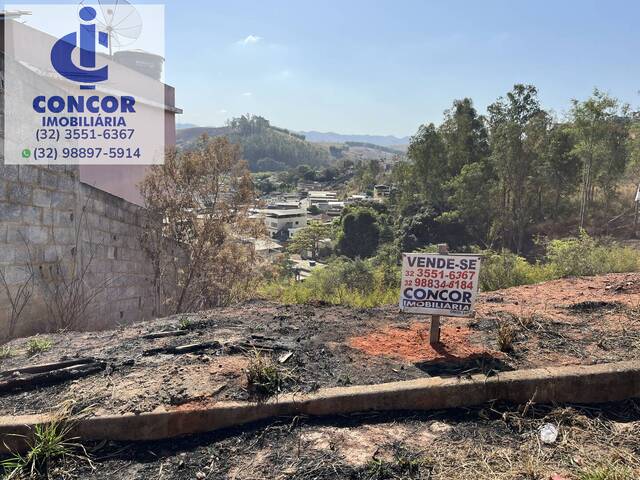 #557 - Área para Venda em Visconde do Rio Branco - MG