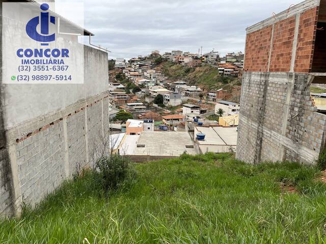 #558 - Área para Venda em Visconde do Rio Branco - MG - 2