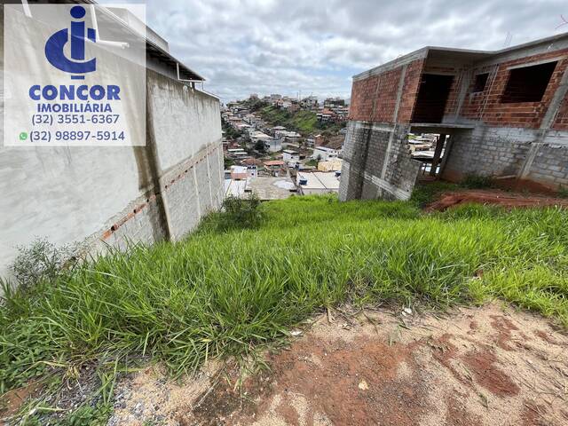 #558 - Área para Venda em Visconde do Rio Branco - MG - 3