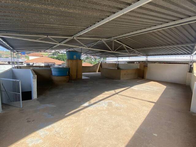 Apartamento para Locação em Visconde do Rio Branco - 4