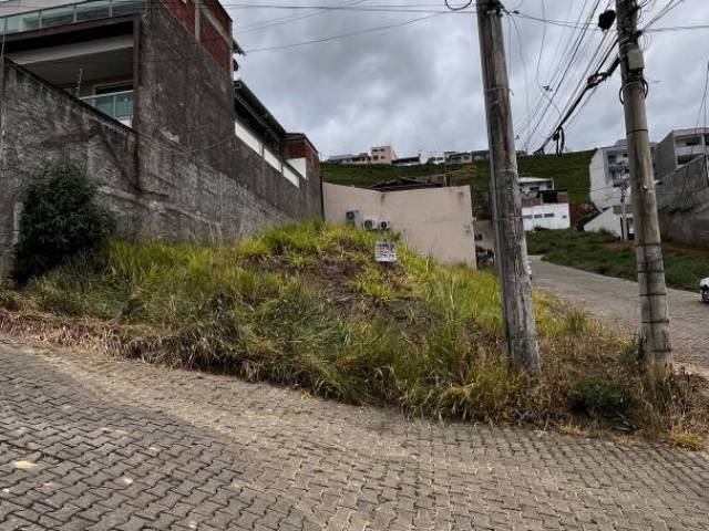 #617 - Área para Venda em Visconde do Rio Branco - MG - 3